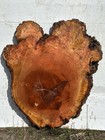 A14 Cherry Burl Round 27x23x1 9 Birds Eye Epoxy Project Crafting 9 To 12  Mc
