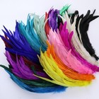 Wholesale 100 Pcs Rooster Tail Feathers 10-18 Inches Natural Chicken Diy Crafts
