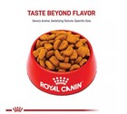 Royal Canin Breed Health Nutrition Rottweiler Adult Dry Dog Food  30 Lb Bag