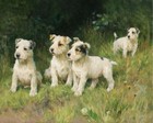 Victorian Terrier Puppy Dog Vintage Poster Print Home Decor
