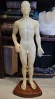 Authentic Vintage Acupuncture Model 20 In Human Acupoint Silicone Doll Oddities