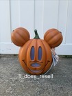 Disney 2026 Home Depot 14 Inch Led Mickey   Minnie Mouse Pumpkin Set Light Up