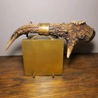 Charming Hunting Trophy Antique Brass Crystal Deer Antler Desk Inkwell