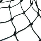 Heavy Duty Netting For Bird Poultry Aviary Game Pens 25  X 50  Net Black Mesh