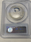 2007  100 Proof Platinum Eagle Pcgs Pr 70 