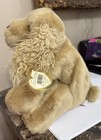      Corky      1996 Ty Classics Tan Cocker Spaniel Dog 12  Plush Buddy Mwmt In Case