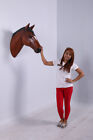 Hanging Chestnut Horse Head Statue Wall Mount Display Western Theme Decor Prop
