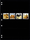  6 00 Scott Value  - 2013 Iraq Camels Dromedaries Mideast Animals Cv Mnh Nh Umm