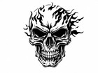 Biker Skull With Flames Wall Art Reusable Plastic Stencil Physical Product -    