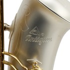 Antigua Winds Model As4248sq  powerbell  Alto Saxophone - Satin Silver gold Keys