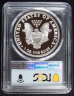  2009  2025 1 Oz Proof Missing Year Silver Eagle Private Issue Pcgs Pr70 Dcam