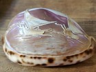 Carved Sailboat Cowrie Seashell