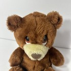 Vintage 1983 Dakin Bear Plush Teddy Bear Stuffed Animal