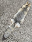 Kit Fox Pelt Fur Hide Tanned Quality Log Cabin Decor Man Cave Art Red Grey