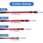 Dog Collar Adjustable Fun Colors Puppy Collar