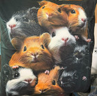 New Guinea Pig Throw Pillow Travel Soft Fluffy Fuzzy Case 18x18  Stack Toe Beans