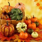 Hakacc 14 Pcs Artificial Mixed Pumpkins For Decorating  Fake Pumpkins