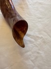 Shofar Yemenite Kudu Horn Xl 31 5-35    New Kosher Full Polished