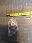 2  Harley Davidson Oak Leaf Pin Motor Co Motorcycle Hog Eagle Wing Gold Colored