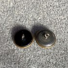 2 Antique Victorian Art Nouveau Picture Buttons Grapes Floral Stamped Brass 18mm