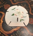 Hand Painted Sand Dollar Dogwood Blossom 4  X 4 5 