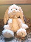 Russ Berrie Shining Stars Bunny Plush With Sealed Star Registry Secret Code  