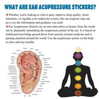 100 Pcs Ear Seeds Acupuncture Kit   Acupressure Ear Seeds With Auricular Char   