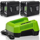 2pack 5 0ah Li-ion Battery   6a Rapid Charger Kit For Greenworks 60v Power Tools
