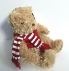 Fao Schwarz Classic Teddy Bear Stuffed Animal Plush 12  Scarf   Vest Nwt