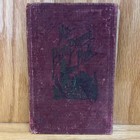 Antique Picture Book   1873 My Pets Picture Book  American Tract Society Book