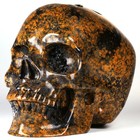 5 01  Ocean Jasper Carved Crystal Skull  Super Realistic  Crystal Healing