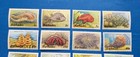 Barbados Stamps  Scott 640-659 Mnh  Mix Of Dates  85  86  87