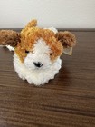 Ty Beanie Babies Sampson Dog Plush Stuffed Animal 2002 Vintage  Ages 3 