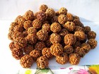 5 Mukhi Rudraksha   Five Face Rudraksh - Top Quality -nepal 18-20 Mm -51 Pieces
