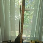 Vintage Eagle No  29 Series Hydraulic Pump Oiler