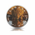  2026 Canada 1oz 9999 Silver Bu Mirror Of The Wild The Leopard   s Gauze Colouriized
