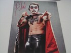Wrestling Aew Great The Evil Danhausen Auto Signed Photo Coa Free Shipping