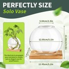 Plant Terrarium Transparent Vase Desktop Propagation Stations Glass Planter For