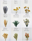 Diy Natural Dried Flower Set  Bulk Dried Flowers For Vase  Dried Flowers With St
