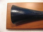 Mounted 150lb Striped Marlin Bill Rostrum Baja California  Mex About 18 l