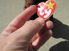 Ty  1996 Beanie Baby Congo The Gorilla Mwmt Black Brown Monkey Toy Animal Mwmt