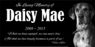 Custom Pet Stone Memorial Grave Marker Granite Plaque Human Headstone Dog Cat