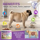 Dog Prenatal Vitamins     120 Soft Chews - Pregnancy   Puppy Supplement 
