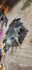 European Deer Skull Mount Plaque Wall Pedestal Oak Leaf  Midnight