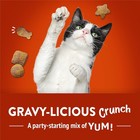 Purina Friskies Gravy-licious Chicken Party Mix Crunch Cat Treats 20 Oz Pouch