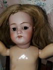  20  Antique German Kestner 168   8 1 2 Bisque Head Doll Original Body