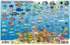 Roatan Honduras Dive Map Reef Creatures Guide Laminated Franko Maps