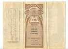 Zee Zee Tire Rubber Company 1915 Delaware Stock Certificate