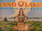 Vintage Land O  Lakes Advertisement Serving Tray 10 5x13 1960s