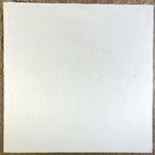 Rare Lana Del Rey Honeymoon Album Poster    21 X 21    Music Store Promo Exclusive